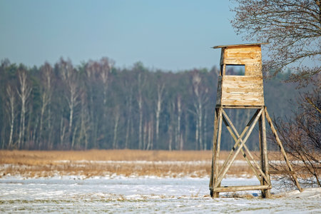 Hunting pulpit in winterの写真素材