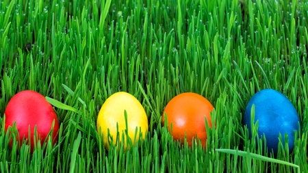 Easter eggs in a grassの写真素材