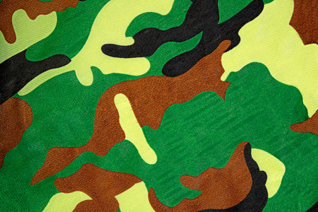 Camouflage pattern or textureの写真素材