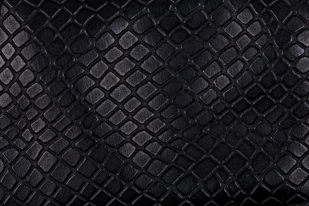 Black leather, a background or textureの写真素材