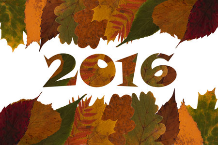 Happy New Year 2016