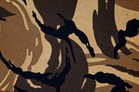 Camouflage pattern background or textureの写真素材