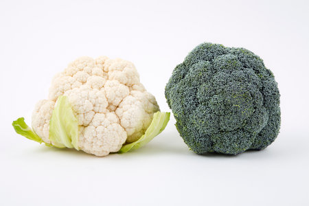 Broccoli and cauliflowerの写真素材