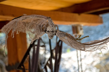 Flying skull, Halloween sceneryの写真素材