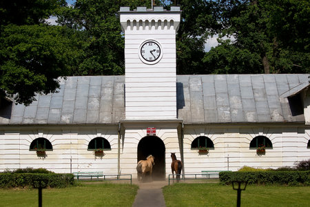 Stable "Under the clock" in the stud in Janow Podlaski in Polandのeditorial素材