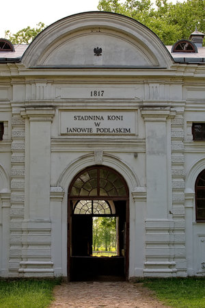 Stud in Janow Podlaski in Polandのeditorial素材