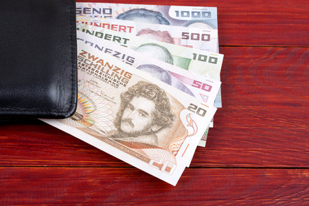 Money from Austria in the black walletの写真素材