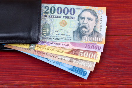 Hungarian money in the black walletの写真素材