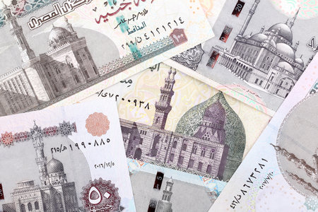 Egyptian Pounds, a business background