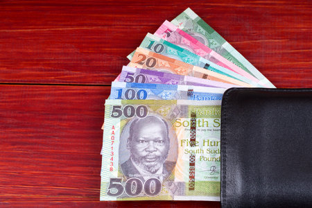 South Sudanese money in the black walletの写真素材