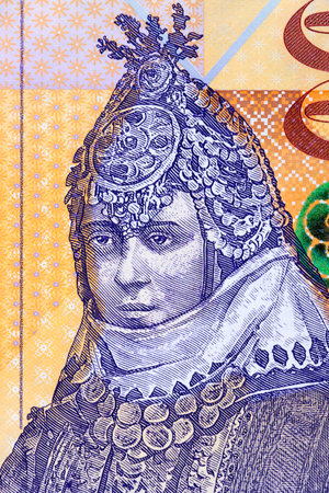 Macedonian woman in wedding attire a portrait from moneyの写真素材