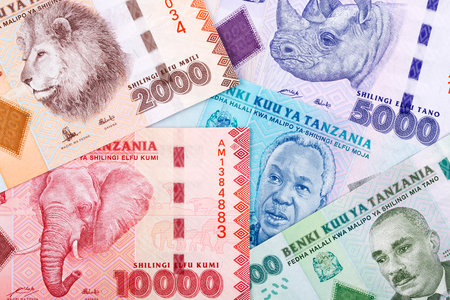 Tanzanian money, a business backgroundの写真素材