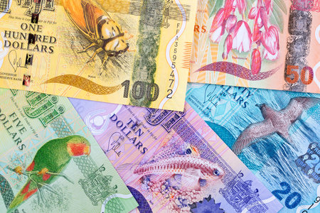Fijian money, a business backgroundの写真素材