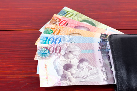 Money from Botswana in the black walletの写真素材
