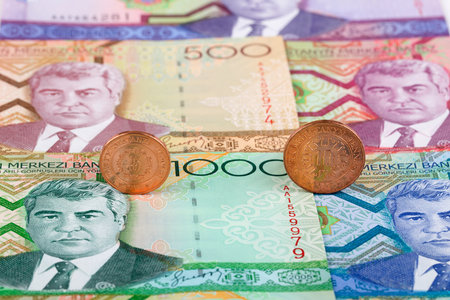 Turkmenistan Tenge coins on the background of old banknotes
