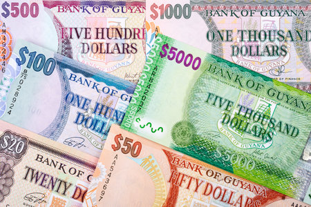 Guyanese money, a business backgroundの写真素材