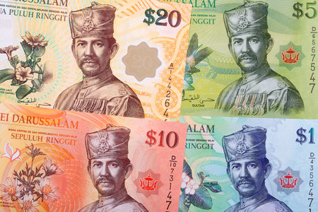 Money from Brunei a business background