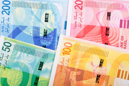 Israeli new shekels, reverse side, a business backgroundの写真素材