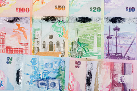 Bermudian dollar a business background