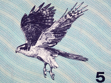 Falcon a portrait from old Lithuanian moneyの写真素材