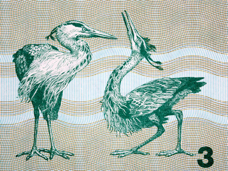 Gray herons a portrait from old Lithuanian moneyの写真素材