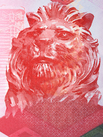 Lion a portrait from Hong Kong moneyの写真素材