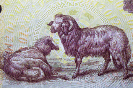 Sheep from Chinese moneyの写真素材