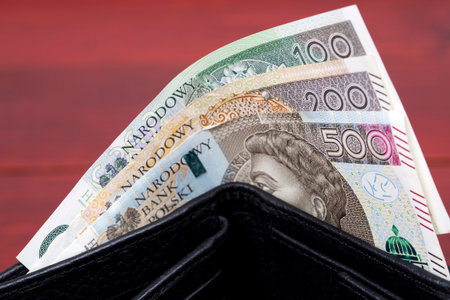 Polish money - Zloty in the walletの写真素材