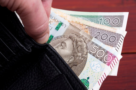 Polish money - Zloty in the walletの写真素材