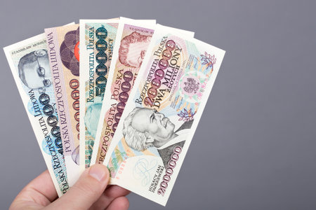 Old Polish money - Zloty in the hand on a gray background