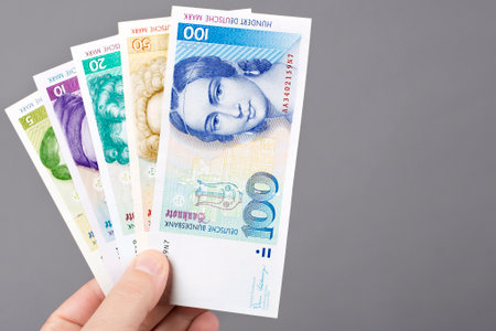 Deutsche money - Mark in the hand on a gray backgroundの写真素材