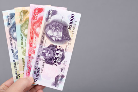 Uruguayan money - pesos in the hand on a gray background