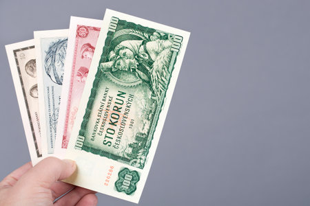 Czechoslovak money - Crowns in the hand on a gray backgroundの写真素材