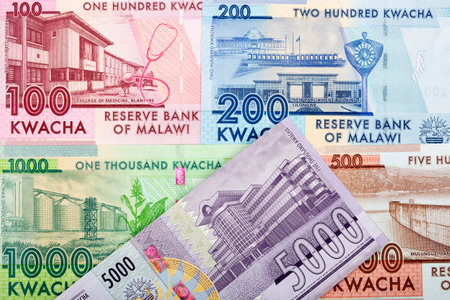 Malawian money - kwacha - new series of banknotes - reverse sideの写真素材