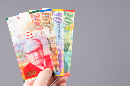 Israeli money in hand on a gray background