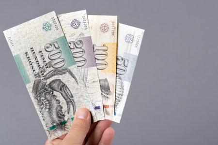 Faroese money - krona in the hand on a gray backgroundの写真素材