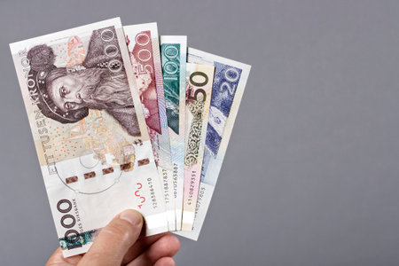 Old Swedish money - krona in the hand on a gray backgroundの写真素材