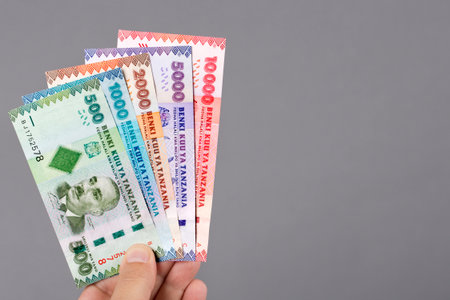 Tanzanian money - shilling in the hand on a gray backgroundの写真素材