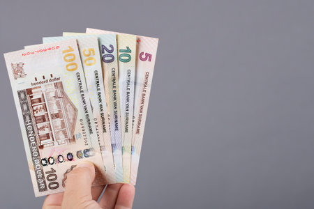 Surinamese money - guilder in the hand on a gray background