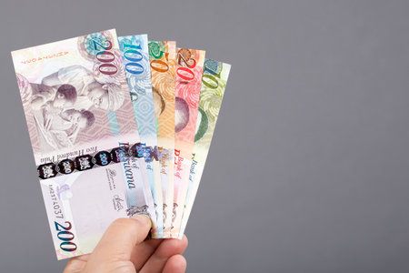 Botswana money - pula in the hand on a gray background