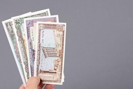Old Lebanese money - pound in the hand on a gray background