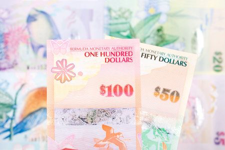 Bermudian money - dollar a business background