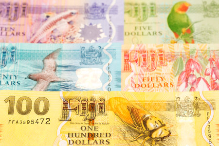 Fijian money - dollar and business backgroundの写真素材