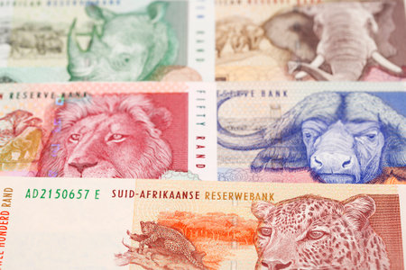 Old South African money - rand and business backgroundの写真素材