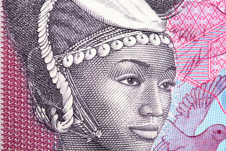 Closeup portrait of woman from Guinean money - francの写真素材