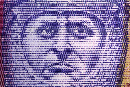 Robert the Bruce a closeup portrait from Scottish money - pound