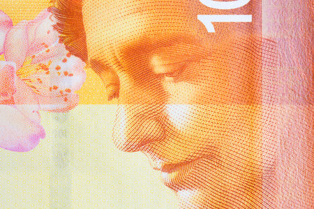 Leah Goldberg a closeup portrait from Israeli money - New Shekelの写真素材