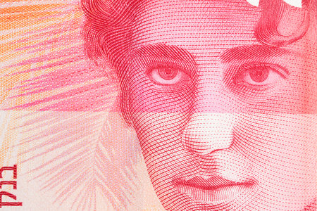 Rachel Bluwstein a closeup portrait from Israeli money - New Shekelの写真素材