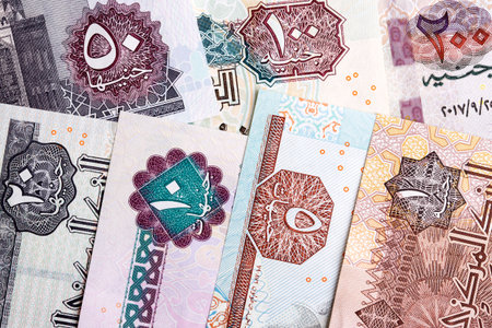 Egyptian pound a closeup business background
