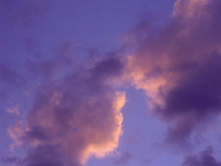 color of mysteryの写真素材